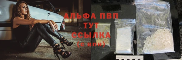 стафф Карпинск