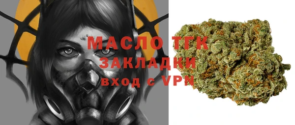 хмурый Алзамай